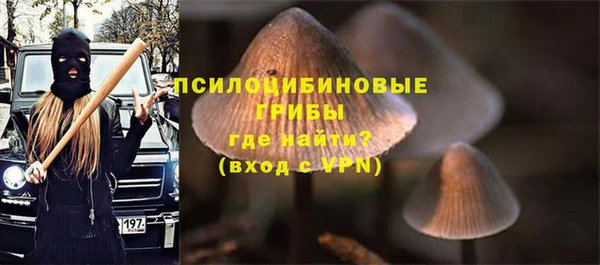 PSILOCYBIN Арсеньев