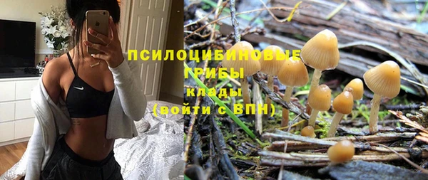 PSILOCYBIN Арсеньев